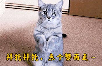 驾驶证满12分开车抓到怎么办,驾驶证满12分的为期几天学习