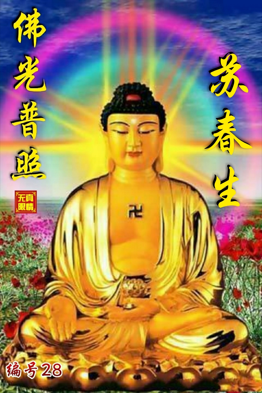 佛像手机壁纸高清大图全面屏,一生好运的佛像壁纸