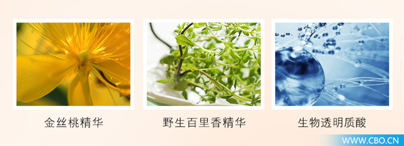 日本最新款资生堂气垫,资生堂气垫新款和旧款区别