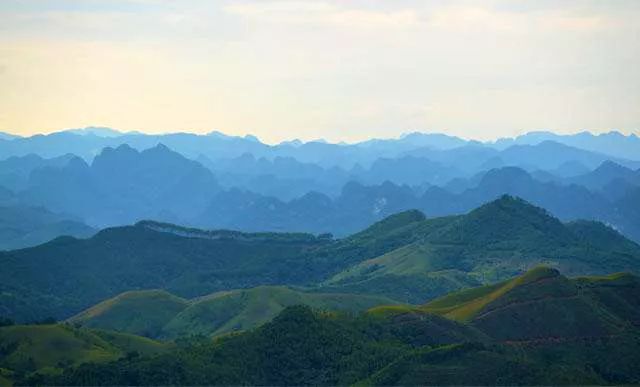 来上犹我养你高清图片,来武平我养你