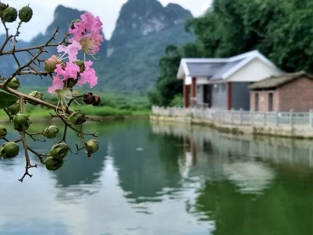 来上犹我养你高清图片,来武平我养你