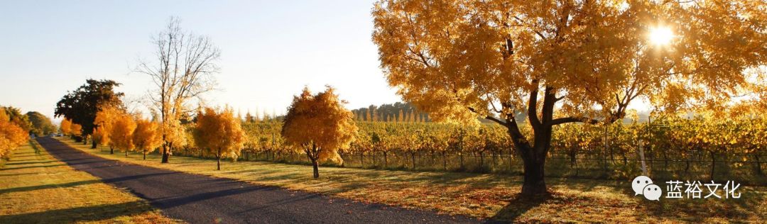 澳大利亚中国新兴产业,澳大利亚国家吸引移民的原因