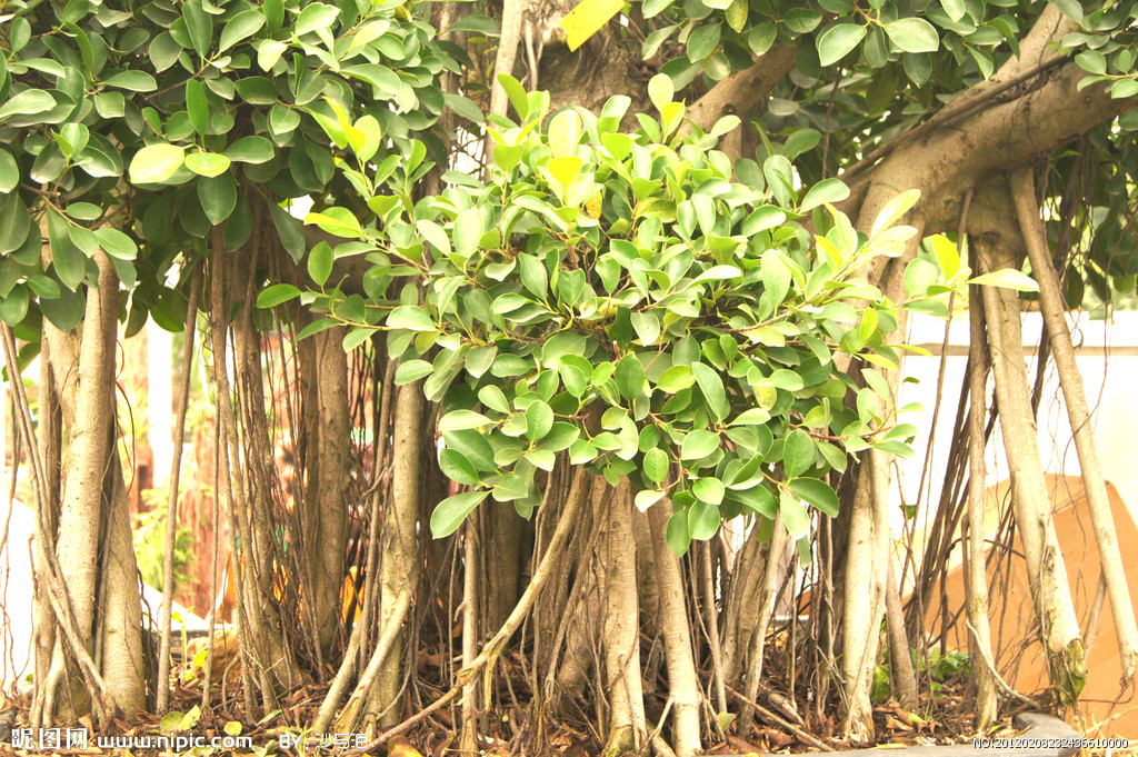 美丽中国福州仓山,美丽中国福建福州闽侯区
