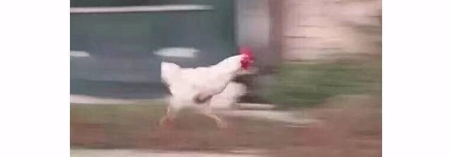 女子遭邻居强行拽进屋,女子被邻居强行拽进屋