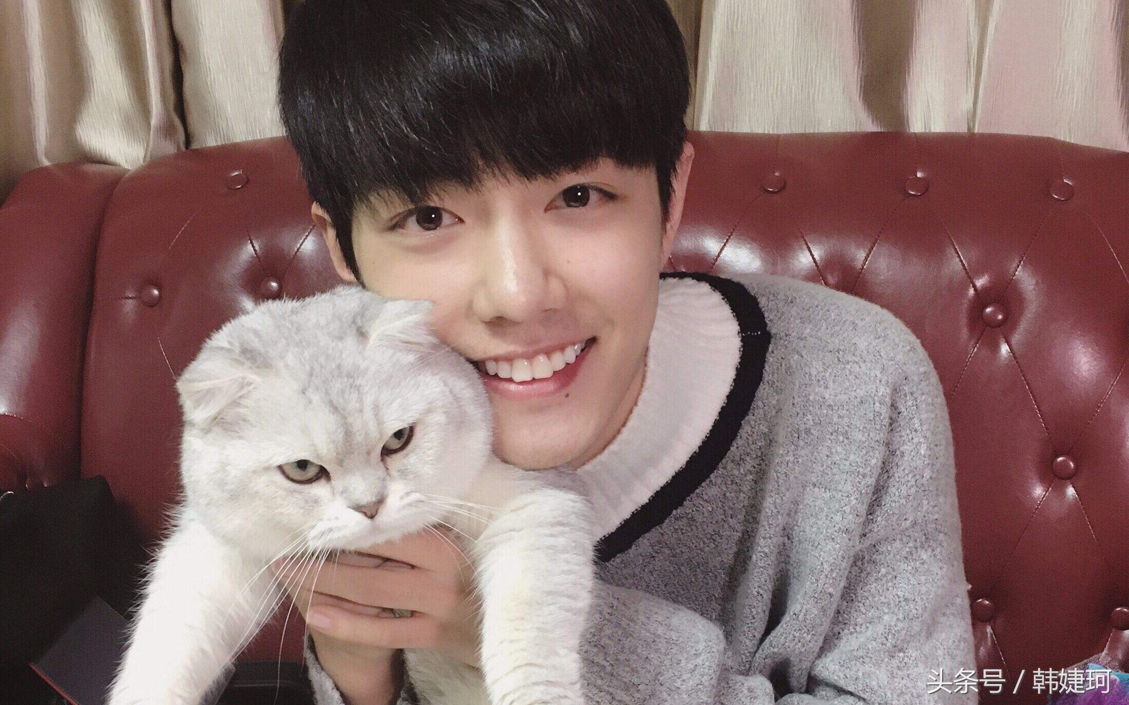 肖战是瑞凤眼还是桃花眼,肖战眼镜桃花眼