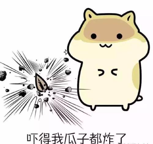 确认过眼神是天选打工人文案,确认过眼神都是会玩的人文案