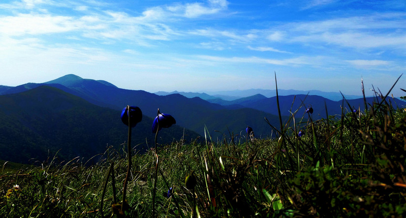天华山-秦岭梁，又一条风景秀美的一日劲走线路