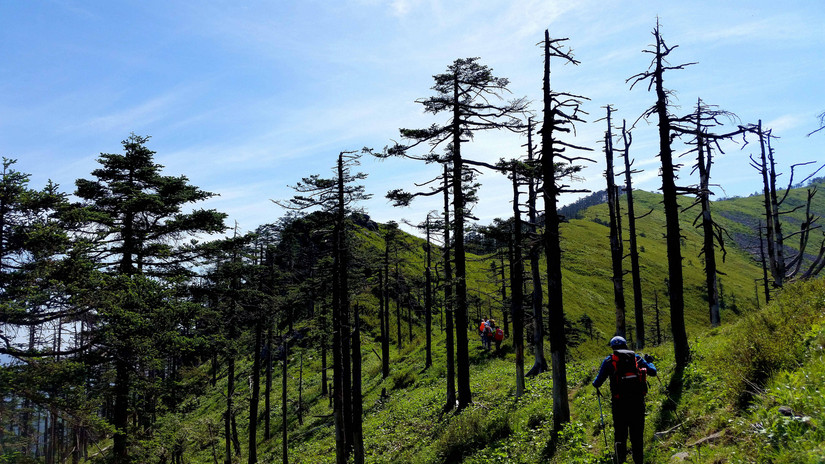 天华山-秦岭梁，又一条风景秀美的一日劲走线路