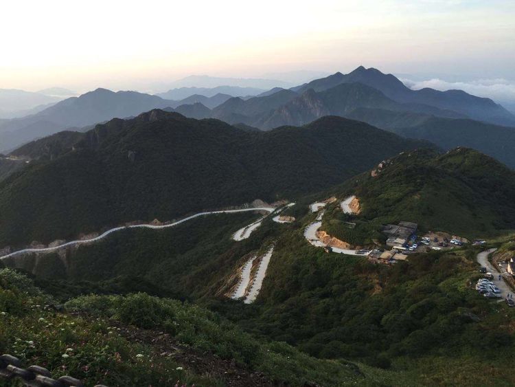 小伙开车撞死一条蛇,小伙开车遇到一条蛇