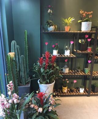 武汉汉阳区花店,武汉比较高级的花店