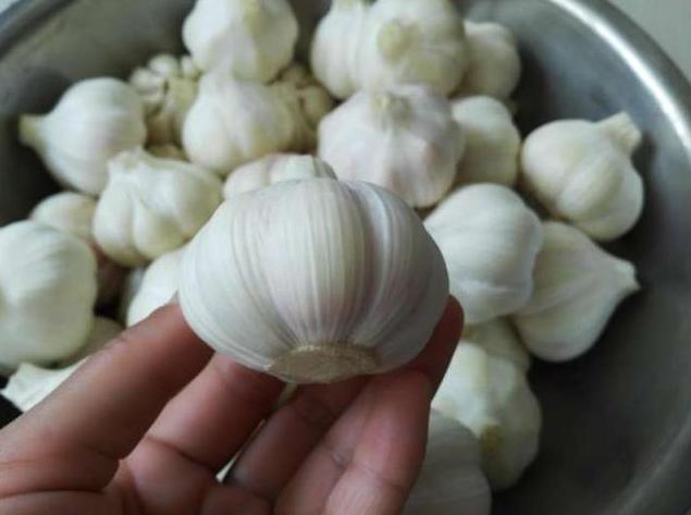 新蒜怎么腌糖蒜好吃,新蒜上市教你做糖醋蒜