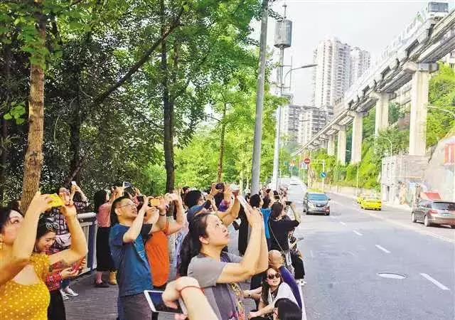 重庆网红vs其他城市网红,重庆成网红