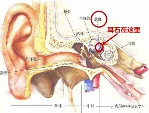 天旋地转的晕叫什么病,天旋地转的晕是什么原因引起的