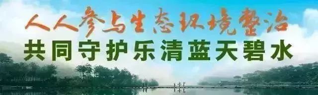 春泥计划创意活动,春泥计划儿童活动