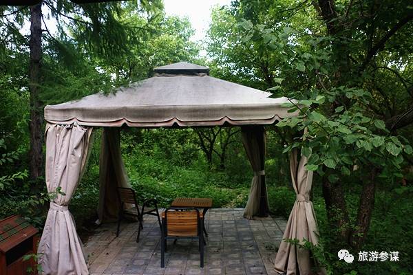 家有美景来欣赏何必外出看风景,家有美景何必远方