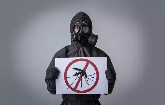 天气热如何灭蚊虫叮咬呢,天热驱蚊虫方法