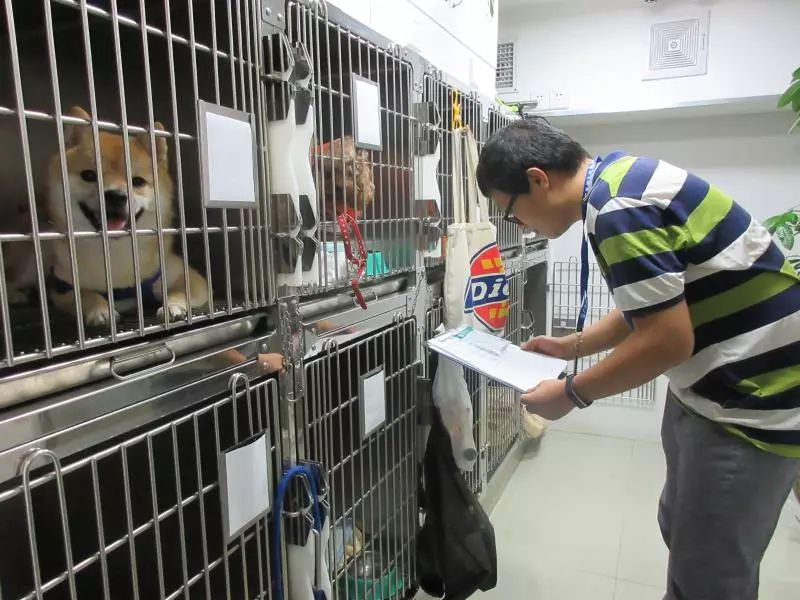 给萌宠看病哪家强?认准海珠这47家放心宠物医院!