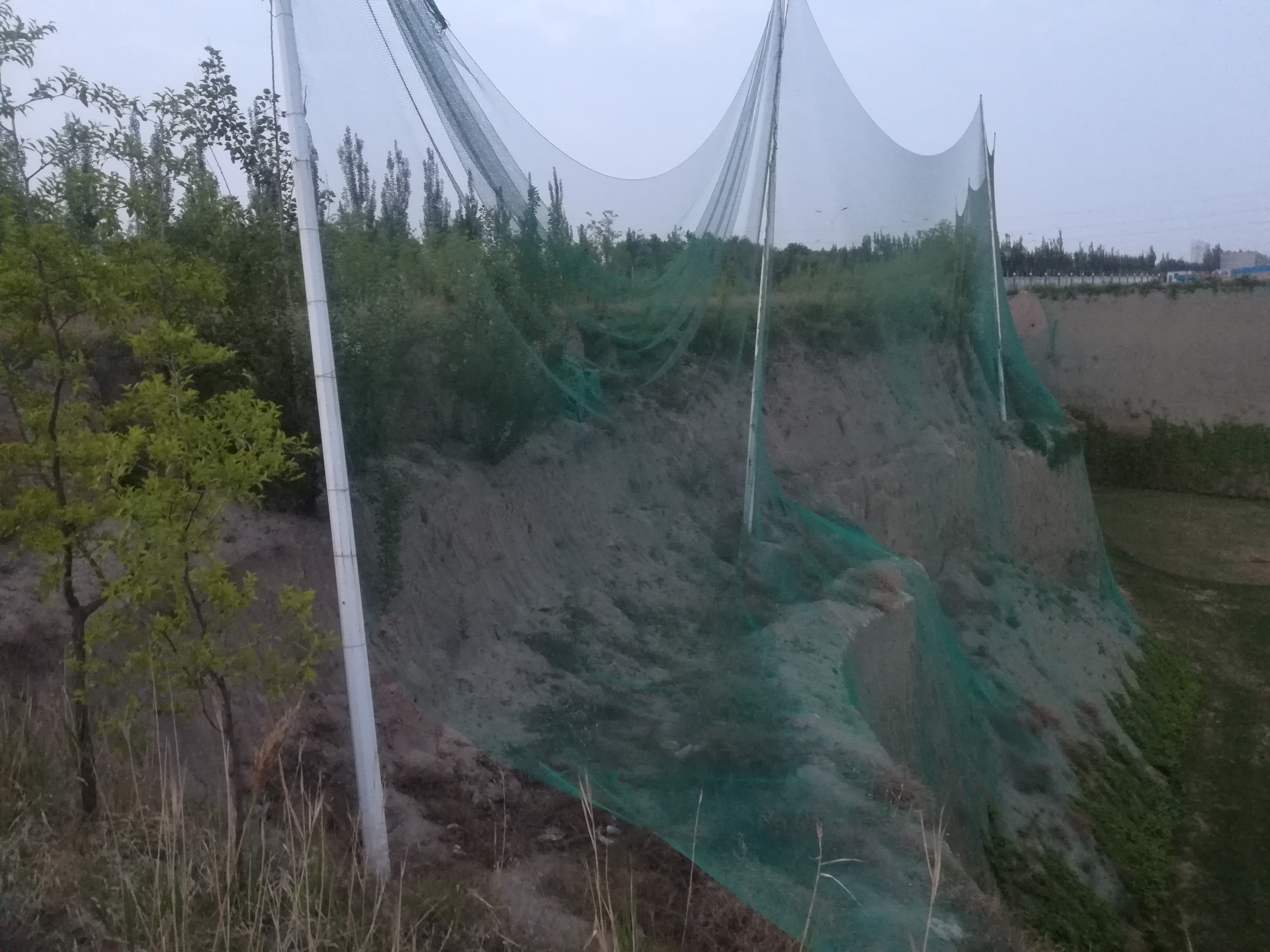 必须要学的语言,必须学会几种语言