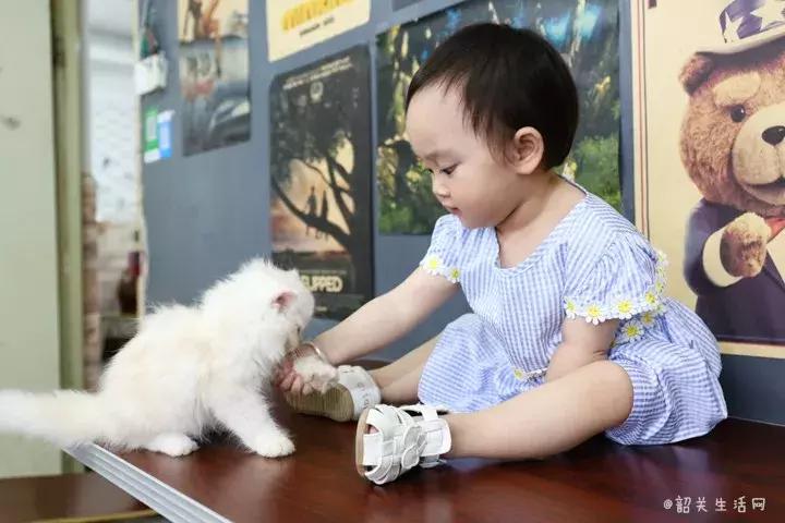 共享吸猫啦！藏身市区小巷内的这家撸猫馆，开门那刻，心就融化了