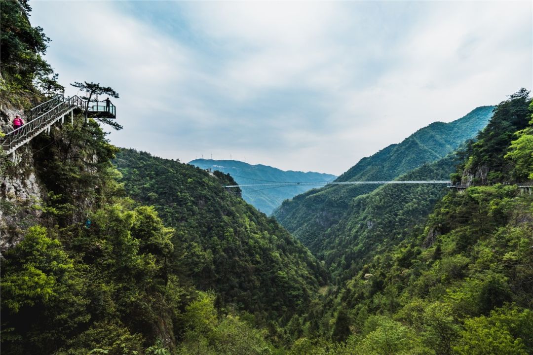 金华免费景点大全,金华景点免费政策