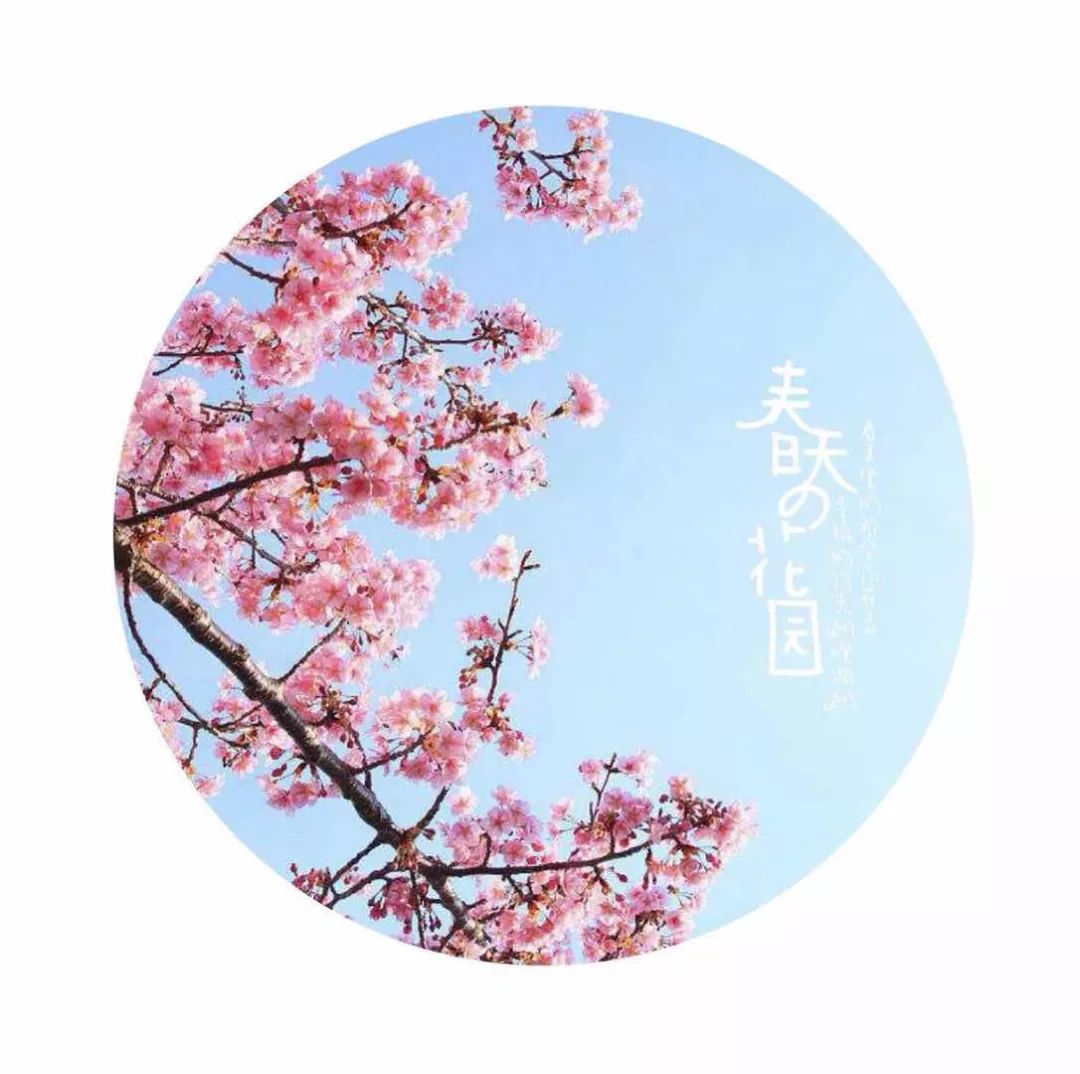 有什么app拍照好看可以加文字,在照片上添加文字哪个app好