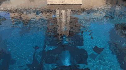 迪拜10大奢华酒店价格,迪拜最贵的酒店780平多少钱一宿