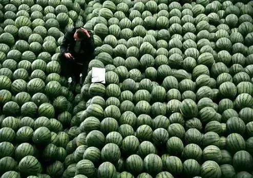 怎样解决农产品滞销的问题,农产品滞销及解决方法