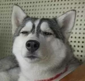 华侨城体育中心网球,华侨城杯业余精英赛