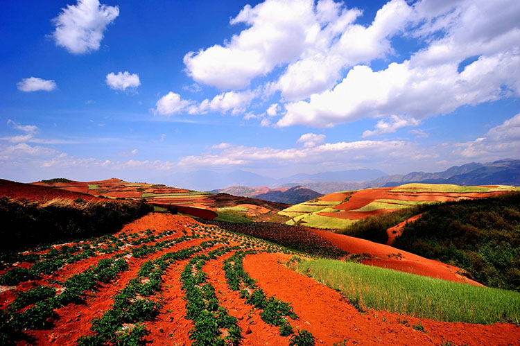 大理丽江香格里拉夏天自由行攻略,云南五月天气