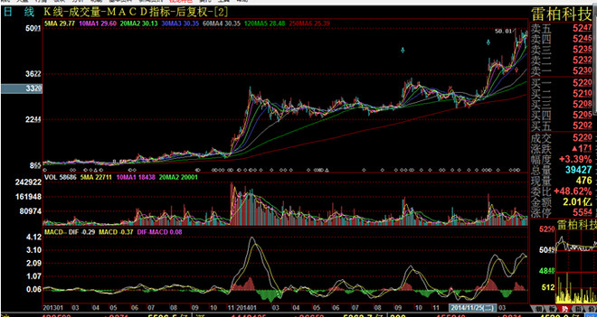 散户生存之道完整版,中国散户的生存之道