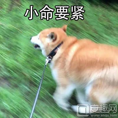 我怀念2011年时候的《推理学院》,再见了葫芦哥和贞子姐