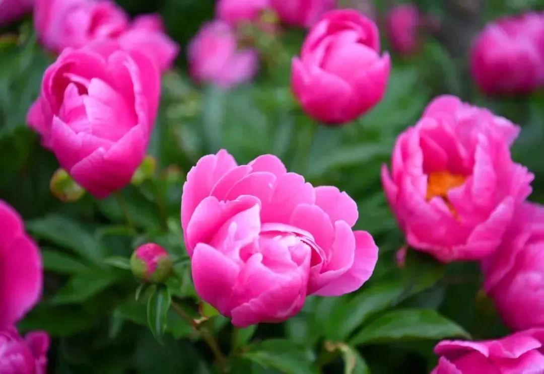 孟津周边一日游的绝佳去处,孟津秋季游必去的地方