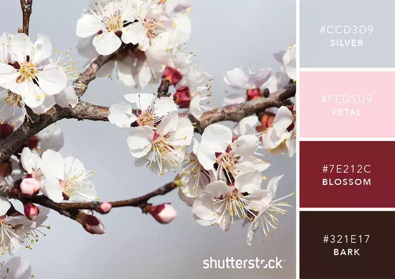 设计师必备100个材料,设计师必备100个素材