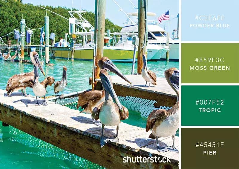 设计师必备100个材料,设计师必备100个素材