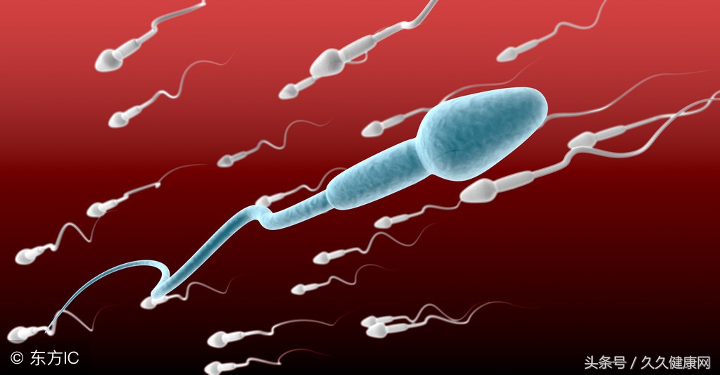 精子数量6个能受孕吗,备孕不一定一次就中吗