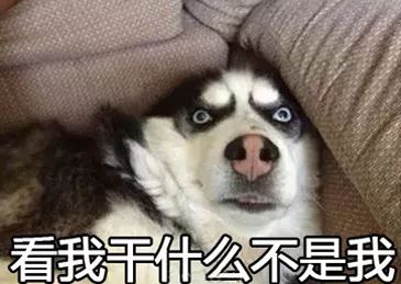 女生3系怎么选,三系女孩子