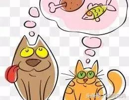 大班数学游戏视频,大班数学游戏名称大全