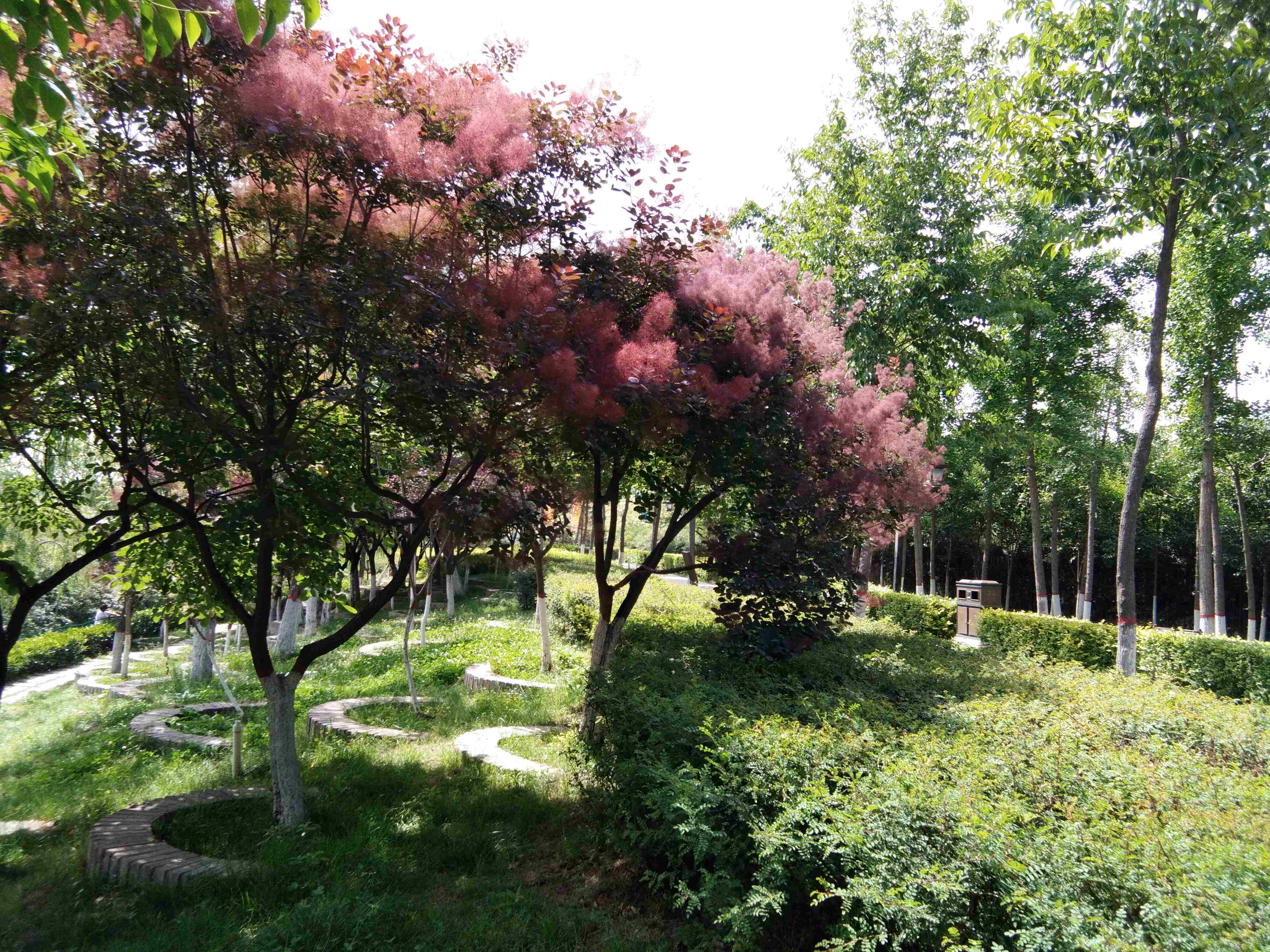 脚踏汉城湖公园全程!感受汉武辉煌!