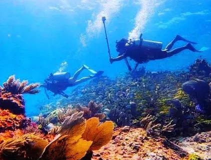 这对夫妇朋友圈消失400天，跨越48国，随后发出的照片惊艳BBC