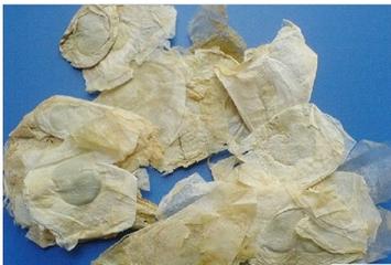 易读错中药名看看你认识几种,16种中药命名