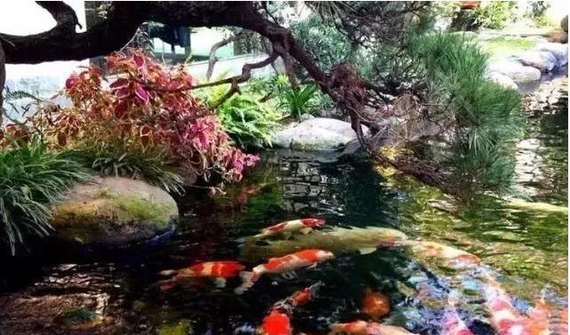 点点滴滴积累知识,点点滴滴积累经验