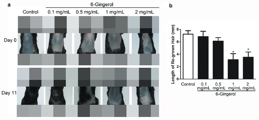 侧柏叶怎么防脱发和生发偏方大全,防脱发偏方用多久见效