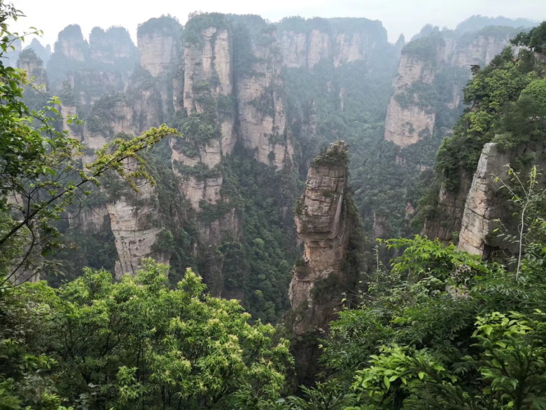 香港人组团游张家界,姐妹相约张家界三日游