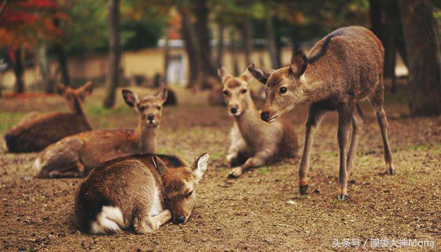 你有新的消息请注意查收,你有新的消息需要查收吗