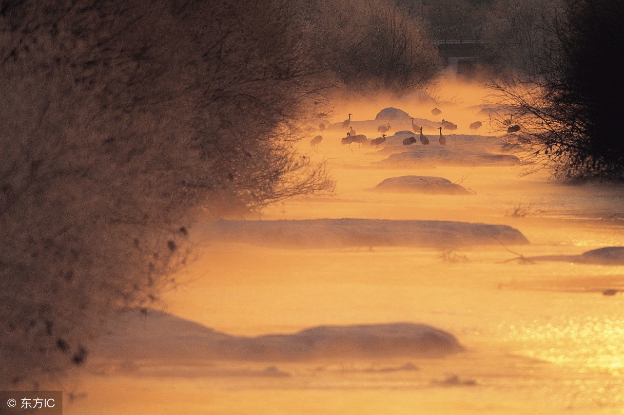 八字干支相合变化图,论八字