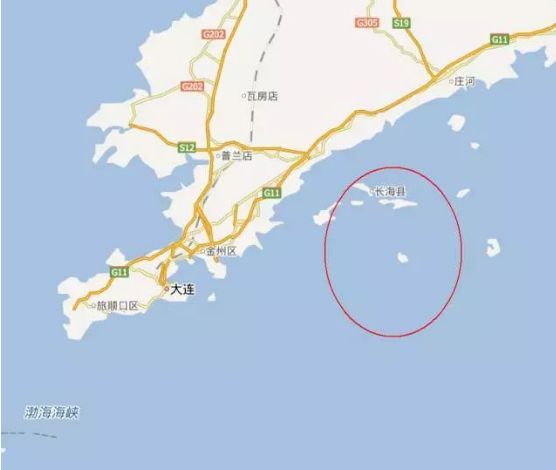 震惊正宗海参竟卖这么低的价格,海参价格良心到爆