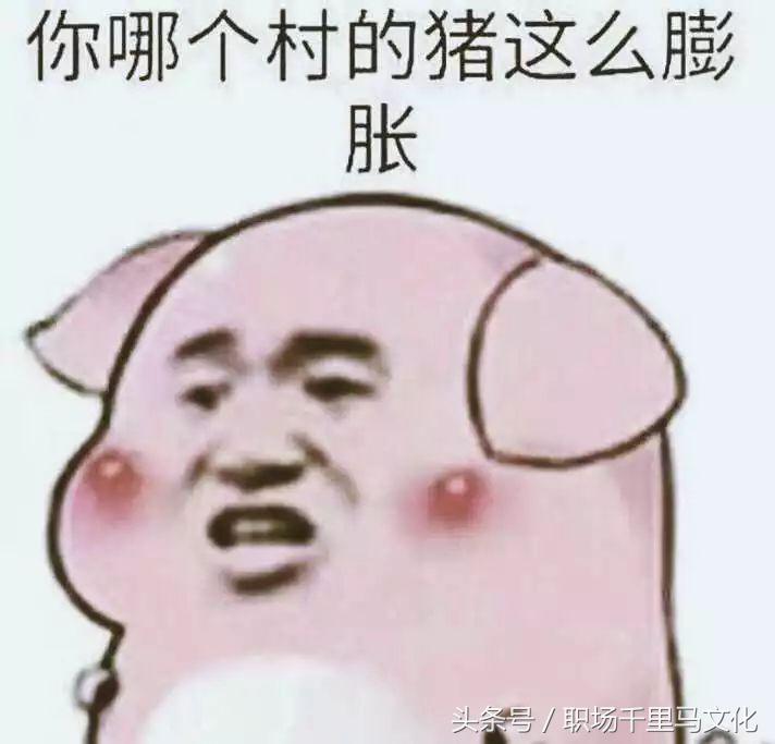 成人社交礼仪常识大全,成年人必须懂的社交规则