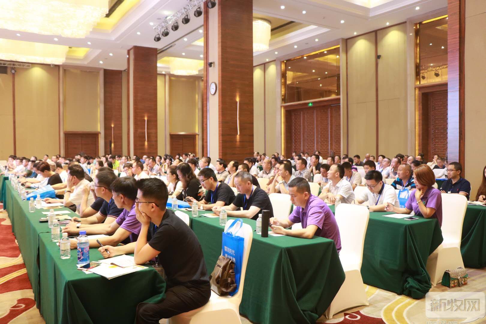 洪平：猪价低就该给猪吃便宜的饲料？