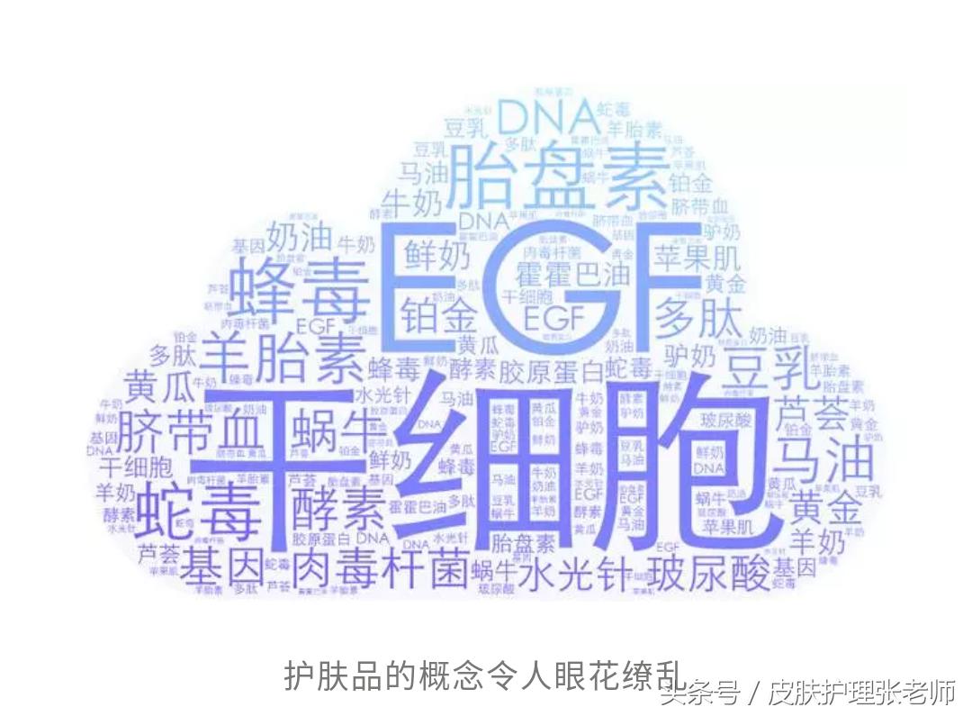 化妆品相关概念,化妆品最新概念