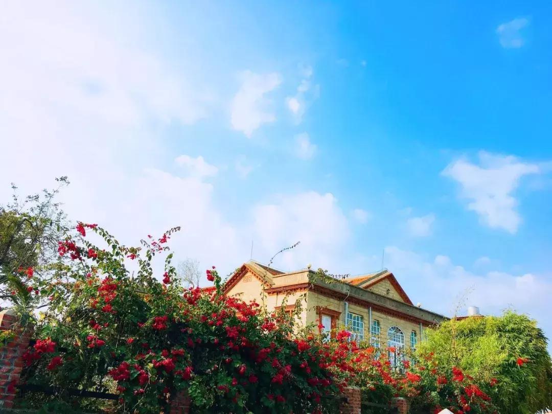 厦门旅游自由行5天4夜最佳方案,厦门旅游攻略5天四夜自由行